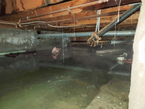 Best Local water damage restoration  in Villa Rica, GA