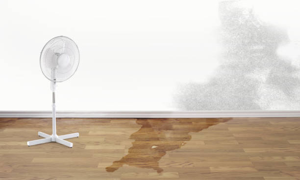 Best Emergency water damage restoration  in Villa Rica, GA