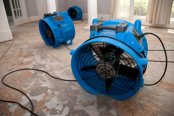 Best Mold removal after water damage  in Villa Rica, GA