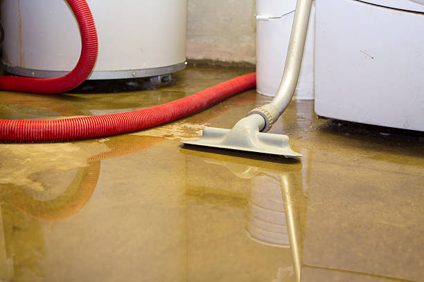 Best Flooded house restoration  in Villa Rica, GA