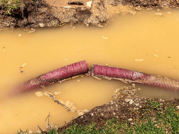 Best Sewage cleanup and water damage restoration  in Villa Rica, GA