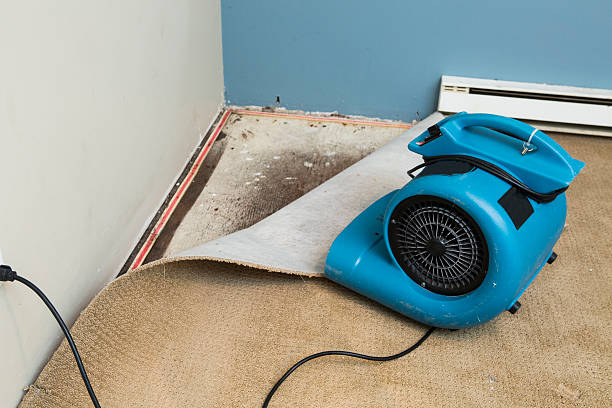 Best Professional water damage repair  in Villa Rica, GA